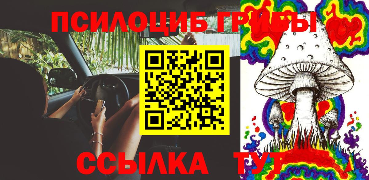 Псилоцибиновые грибы Psilocybe  Галлюциногенные грибы прущие грибы  Вход с VPN  Нефтекумск 