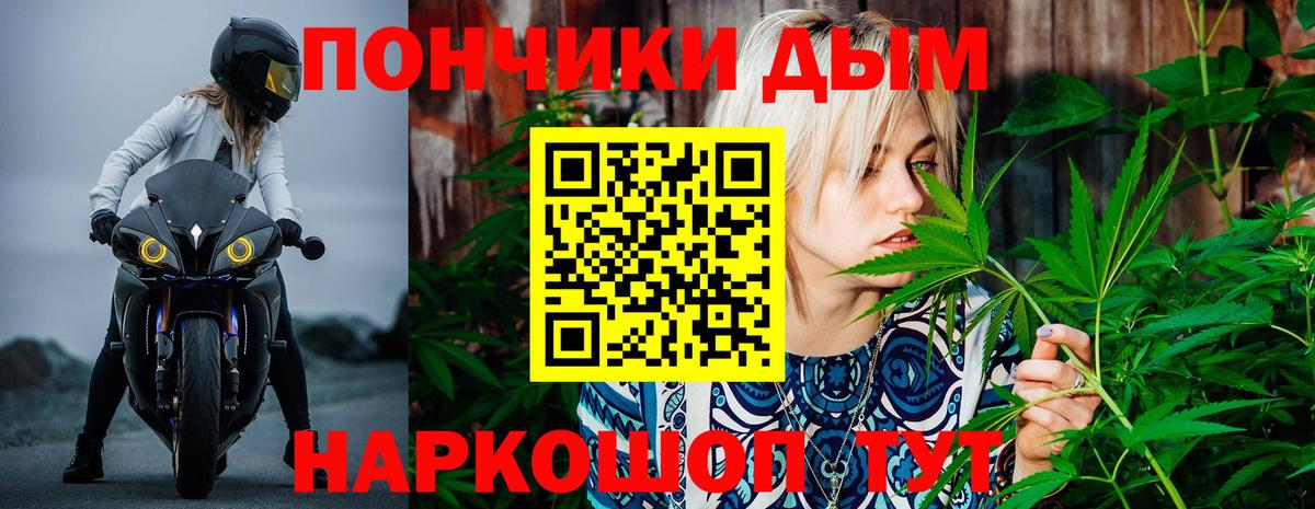 Шишки марихуана Bruce Banner  Марихуана ГИДРОПОН  Канабис индика  Нефтекумск  Вход с VPN  Марихуана семена 